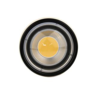 Kraken Foco Kraken Abyss 10K